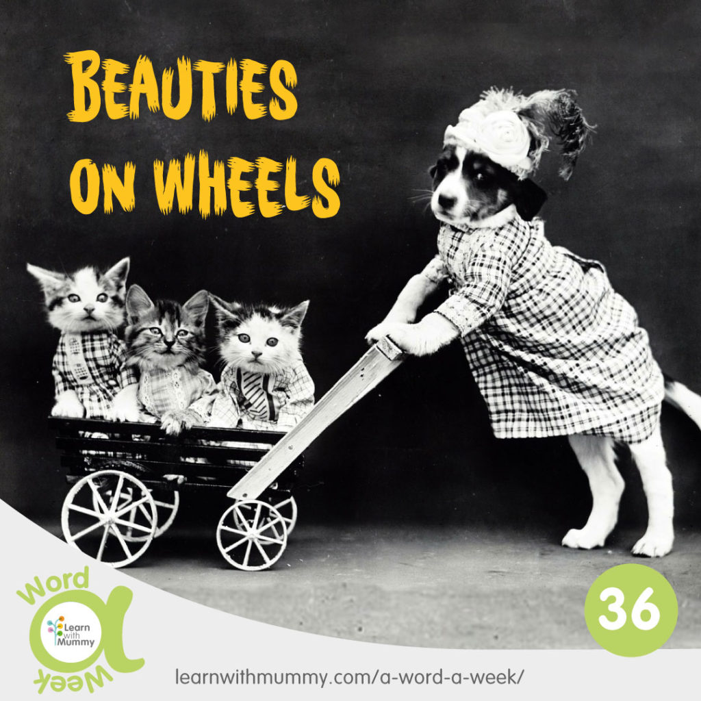 immagine vintage di un cagnolino che spinge un passeggino con tre gattini e la frase in inglese beauties on wheels